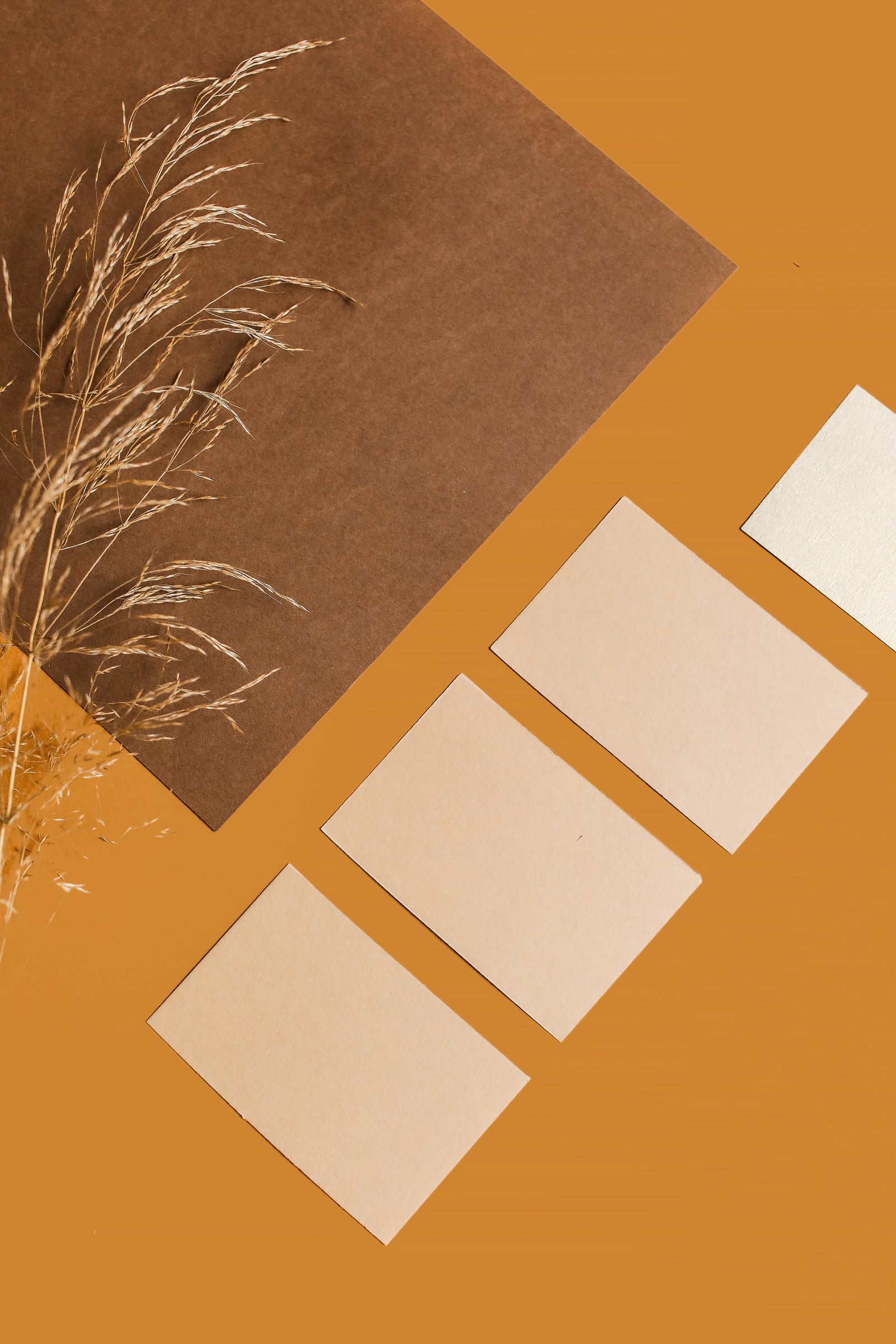 Brown Business Cards on Brown Background